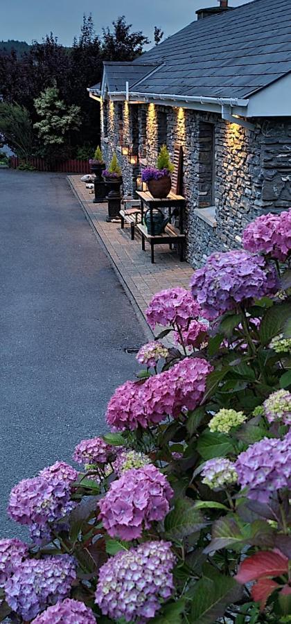 Kenmare Driftwood Bed & Breakfast Zewnętrze zdjęcie